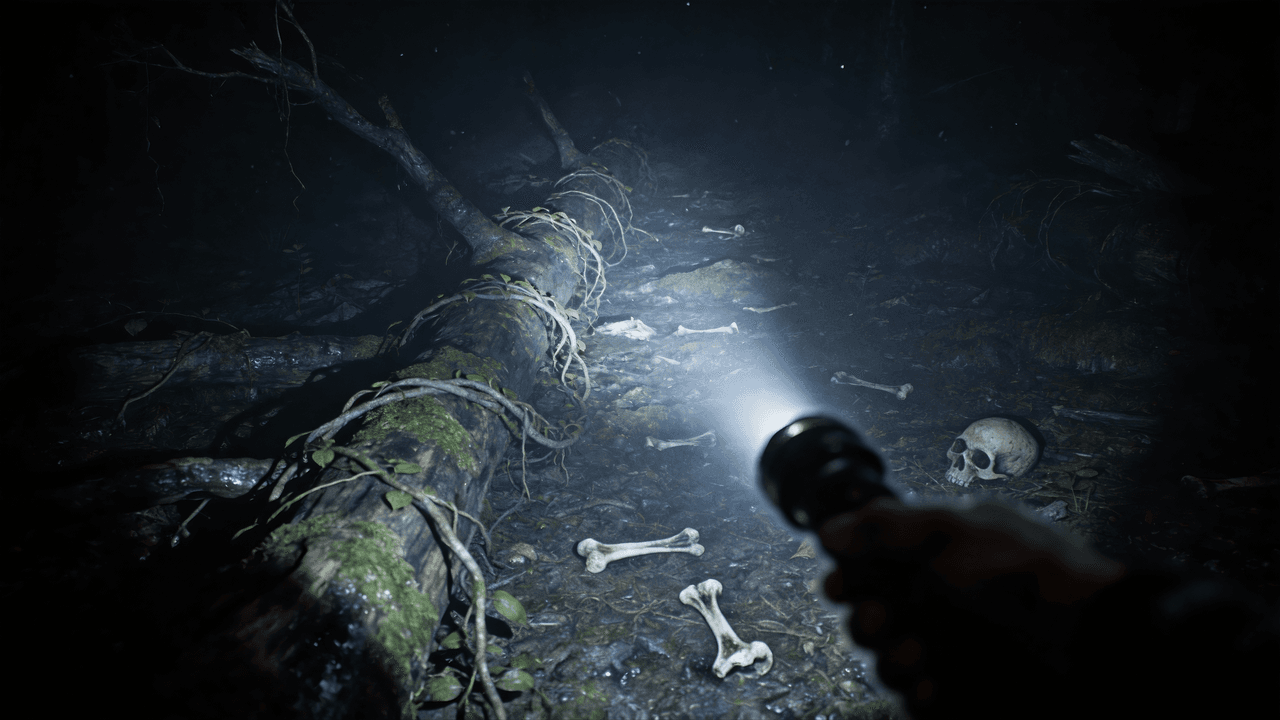 레퍼런스 이미지 1